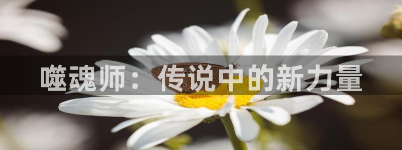 汗汗漫画在线观看入口nba：噬魂师：传说中的新力量